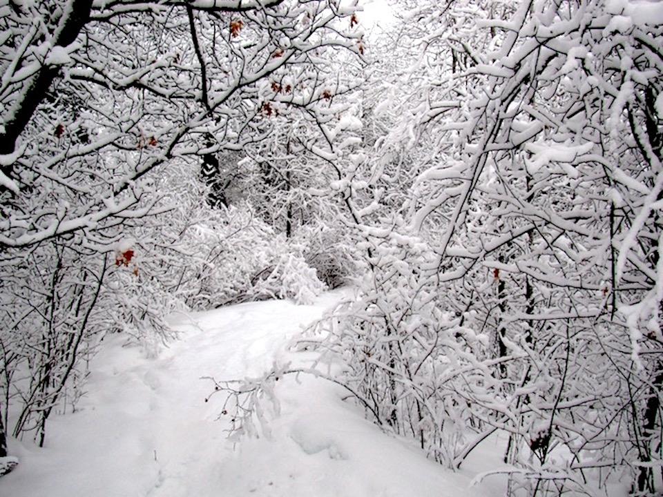 At Voyageurs National Park, winter means hang up your paddles and bring out your skis and snowshoes/NPS file