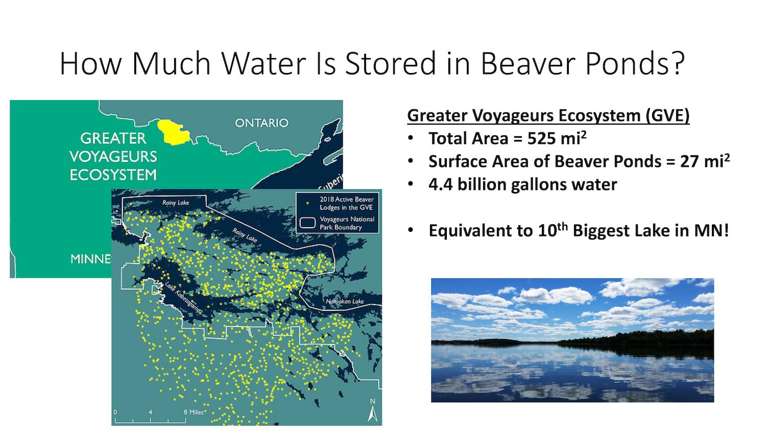 Water storage created by beavers/NPS 