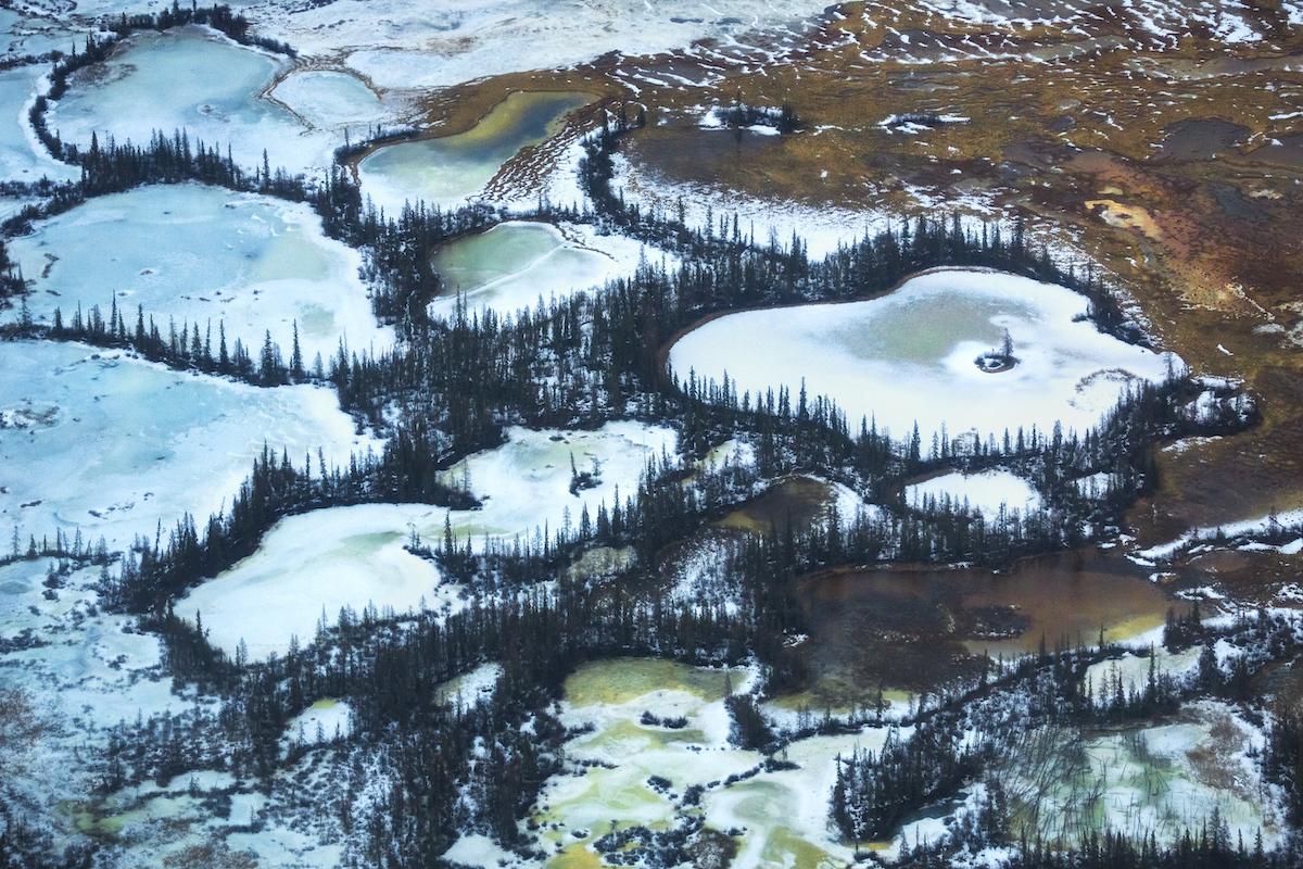 An aerial view of Wood Buffalo National Park.