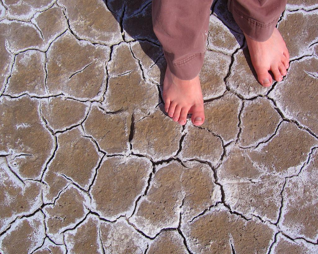 Bare feet on the salt flats of Wood Buffalo National Park.