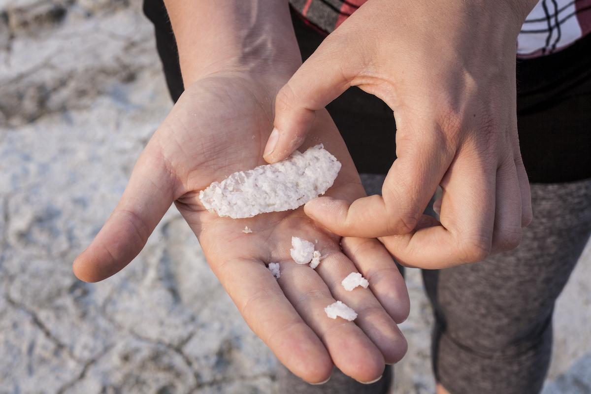 Salt from the salt plains of Wood Buffalo National Park.
