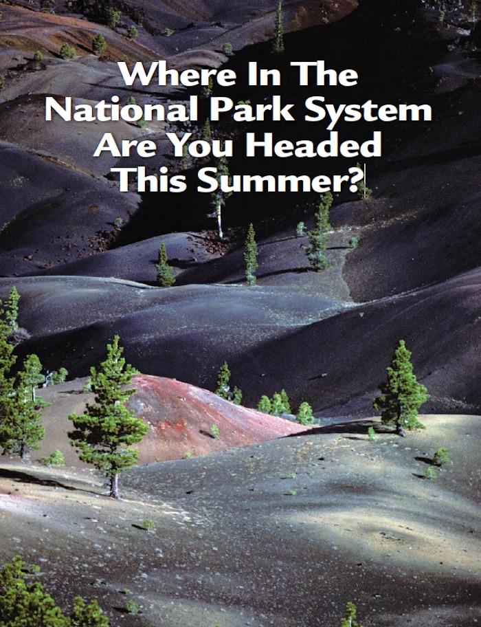 Where in the National Park System will you go this summer?