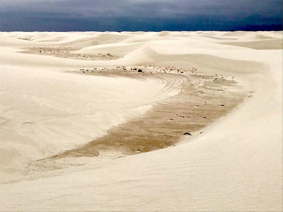 White Sands can be a harsh environment/Jim Stratton