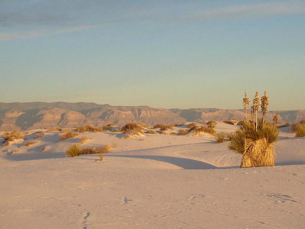 The landscape at White Sands National Park / National Park Service