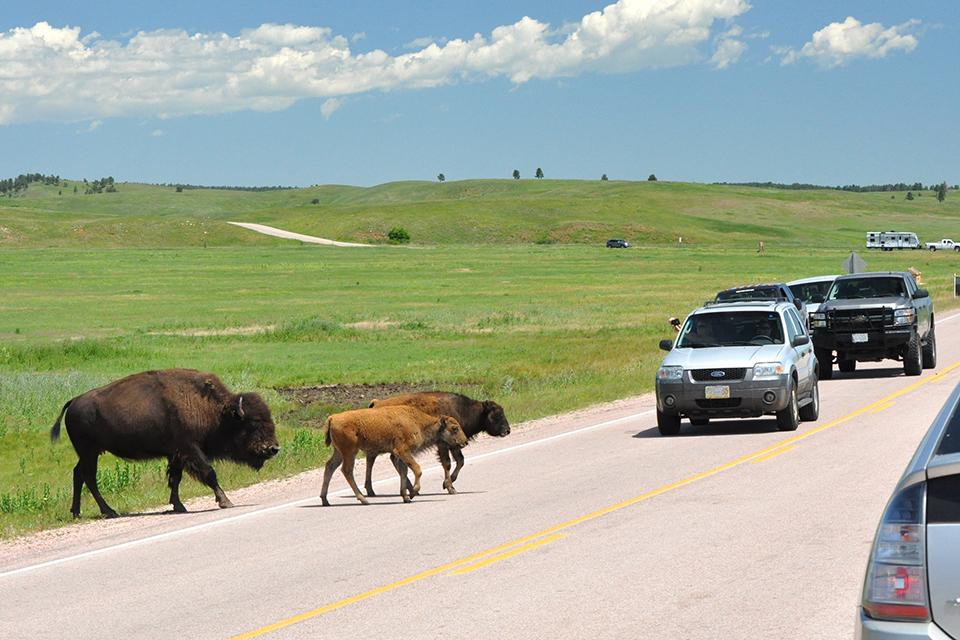 Elevator problems have halted underground tours at Wind Cave National Park/NPS file