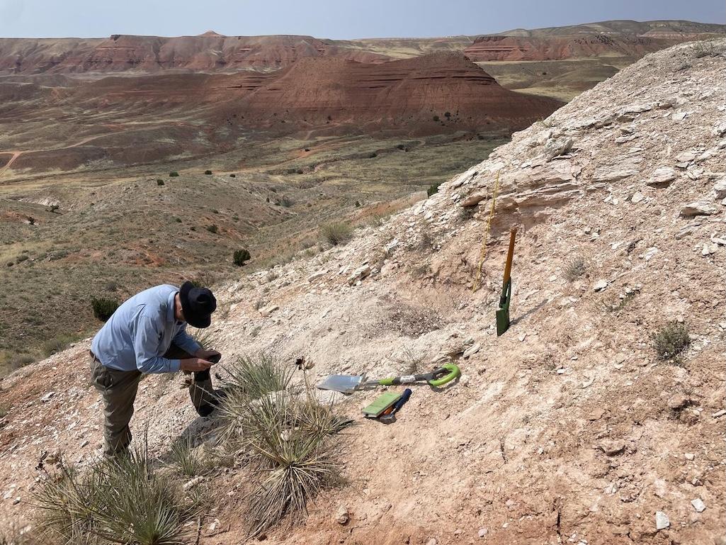 Professor C.J.N. Wilson, FRS, pays due homage to the Lava Creek Tuff ashfall bed in a basin just east of Shell, Wyoming. Photo by Madison Myers, Montana State University, August 9, 2024.