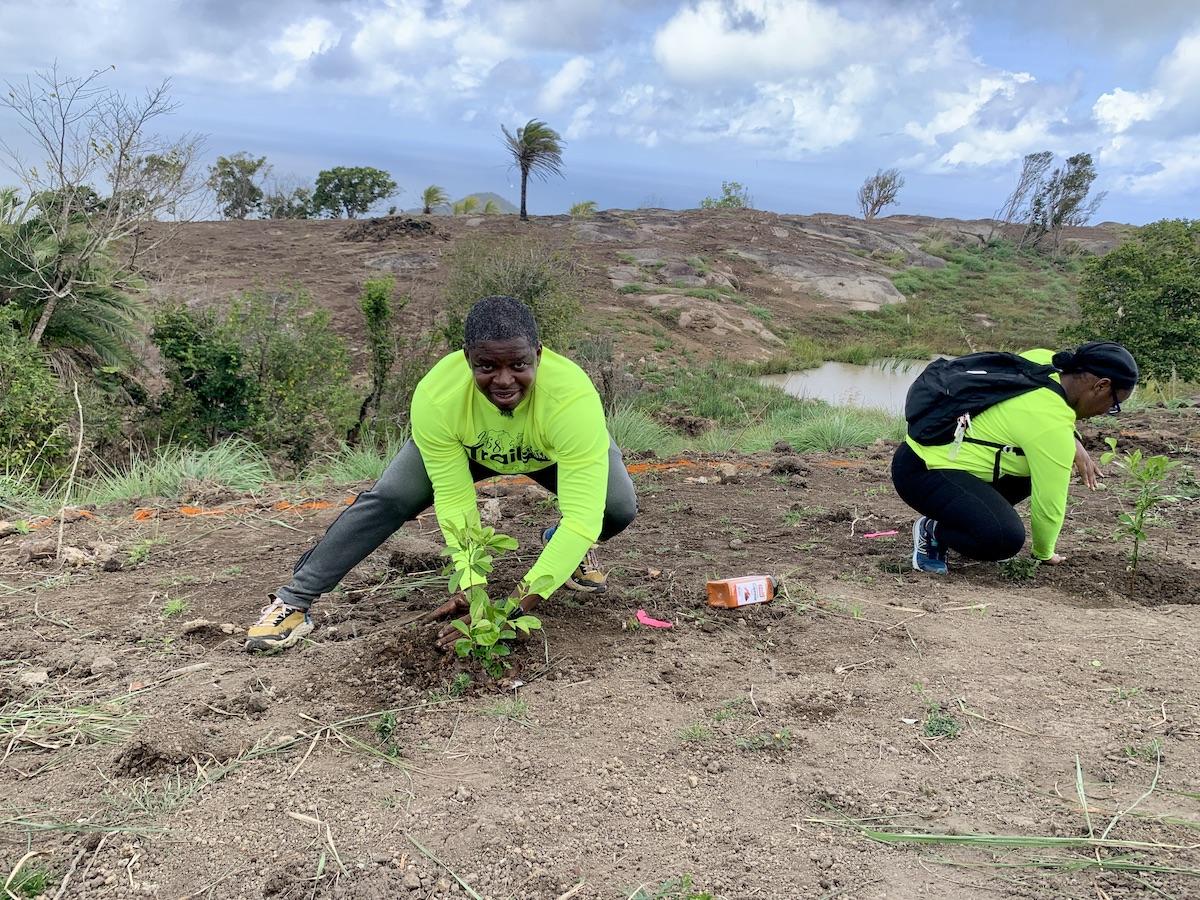 Jermaine Jarvis, left, and other hikers from 268 Trails, plant fruit trees on Signal Hill.