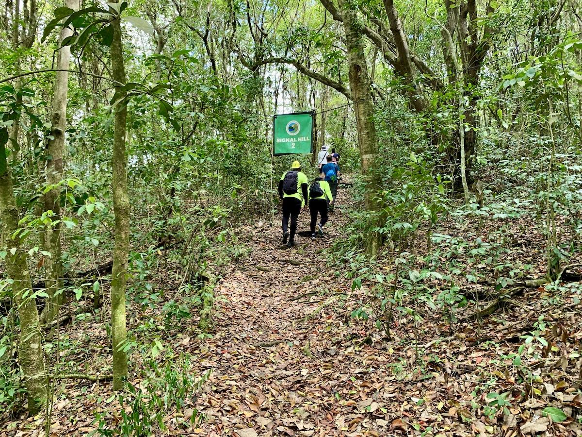 Trails are well-marked with flags at Wallings Nature Reserve.