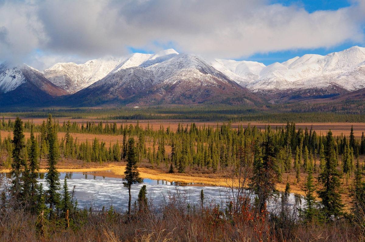A hunter was fatally mauled by a grizzly in Wrangell-St. Elias National Park and Preserve/NPS, Bryan Petrtyl