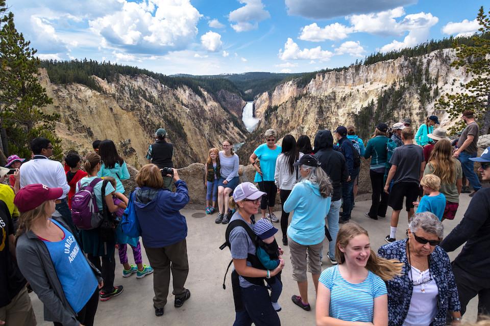 Summer crowds at the Artist Point Overlook in Yellowstone/NPS, Jacob W. Frank