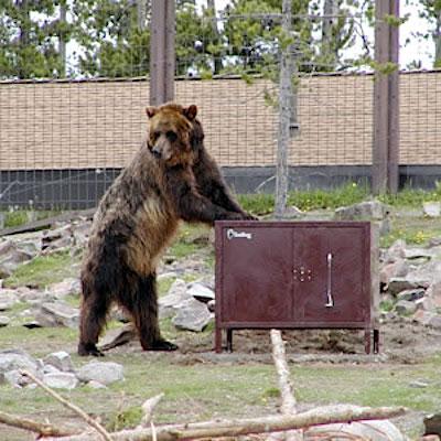 Bear boxes in Yellowstone National Park/NPS