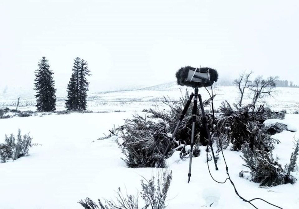 Snowy, wintry view of microphones installed in a binaural configuration to record natural sounds in Yellowstone National Park/Photo courtesy Jacob Job