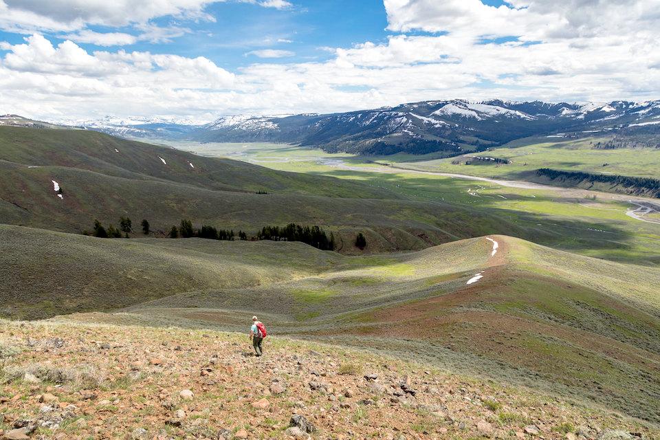For decades official wilderness designation for almost all of Yellowstone National Park has languished in Congress/NPS, Jacob W. Frank