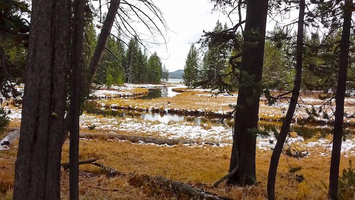 DeLacy Creek flows into Shoshone Lake, Yellowstone National Park/MShoop 10-7-16