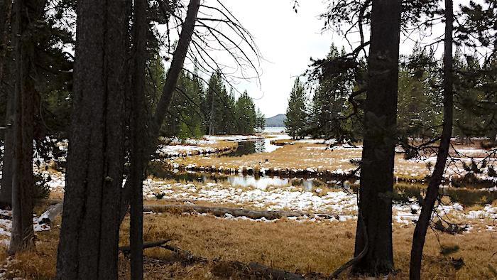 DeLacy Creek, Yellowstone National Park/Marcelle Shoop