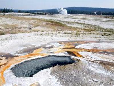 Ear Spring, located on Geyser Hill in the Upper Geyser Basin. Old Faithful can be seen steaming in the background/YVO