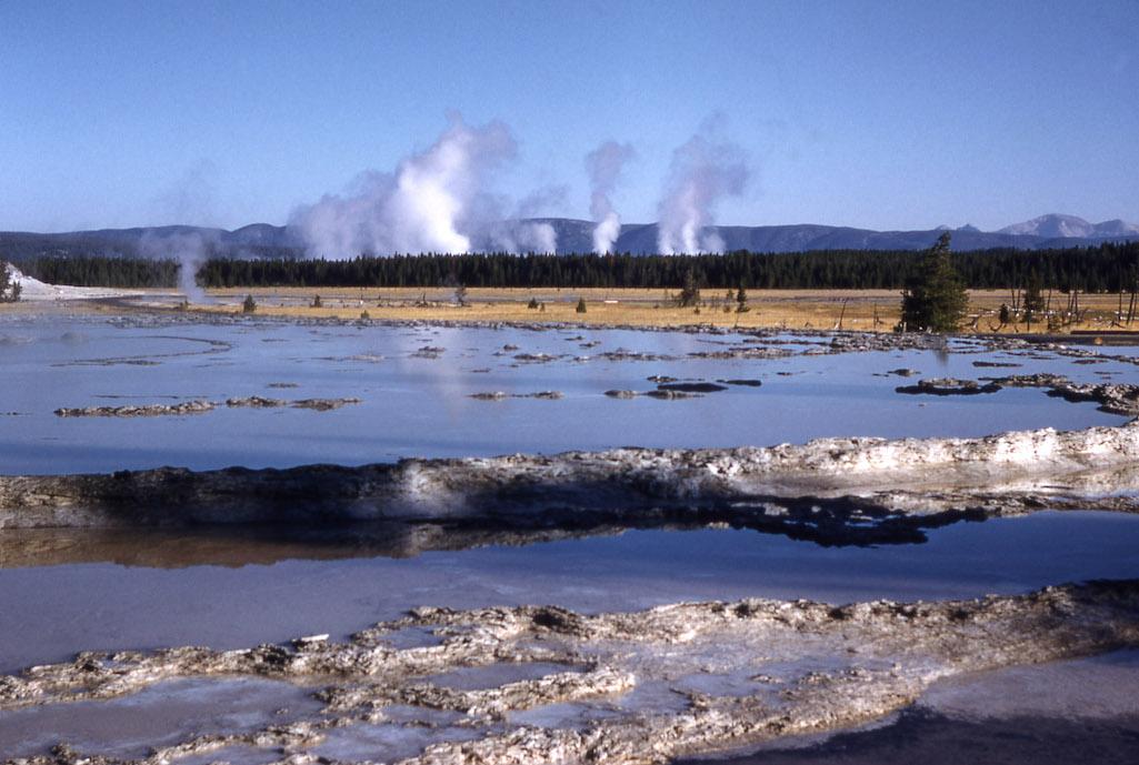 Fountain Group as seen from Great Fountain; Midway & Lower Geyser Basin; George Marler; 1959