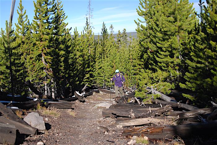 Howard Eaton Trail near Old Faithful, Yellowstone National Park/Kurt Repanshek 10-8-16