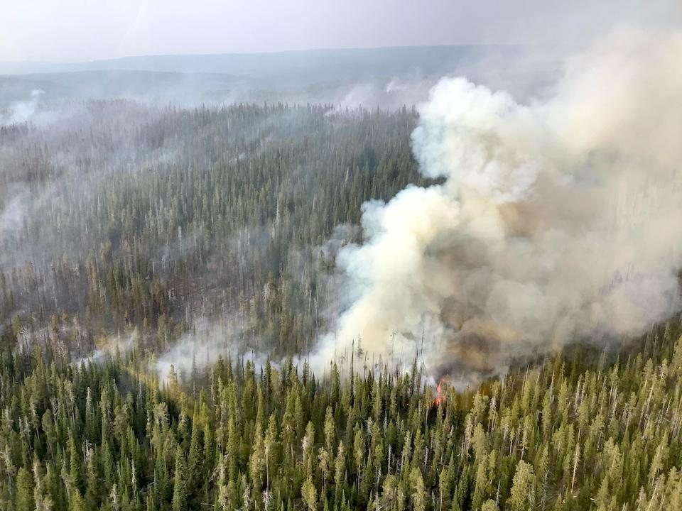 Gusting winds slowly were pushing the Lone Star Fire at Yellowstone National Park/NPS