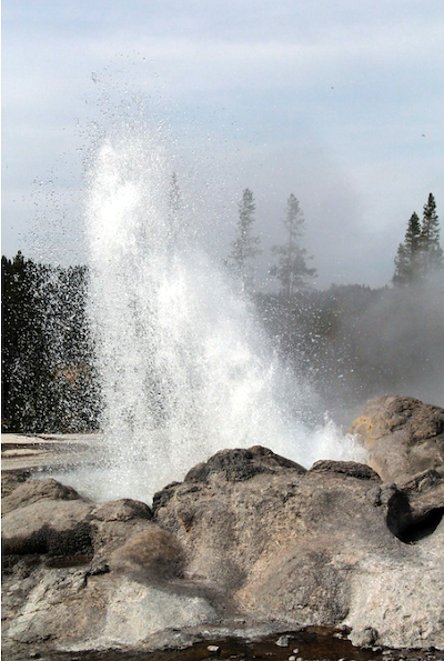 Minute Man geyser at Yellowstone National Park/Robert Pahre