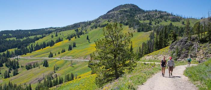 Washburn trail yellowstone online