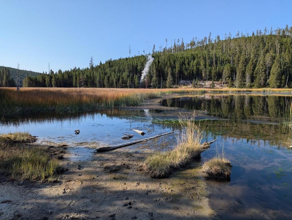 Looking south from near a pullout along the Mammoth to Norris road just north of the Nymph Lake overlook. On the other side of the marsh is a tree-covered rhyolite lava flow, and at the base of the flow is a new thermal feature marked by a plume of steam 