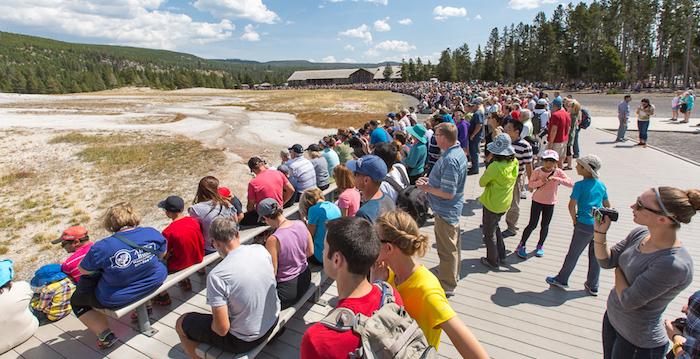A typical summer scene at Old Faithful in Yellowstone National Park/NPS, Neal Herbert