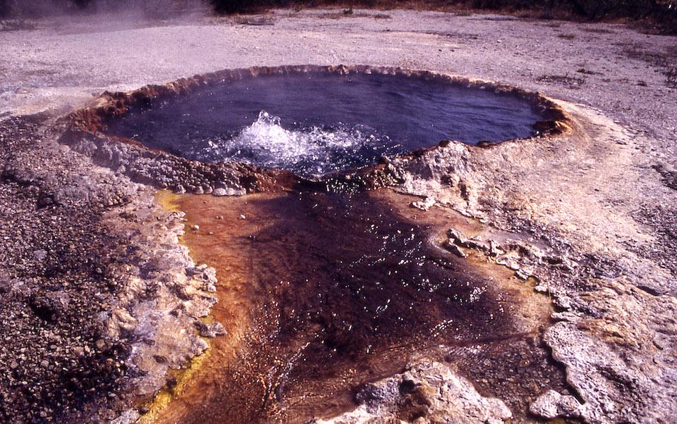 Some backcountry travelers in Yellowstone tried to cook two chickens by boiling them in a Shoshone Geyser Basin hot spring/NPS file