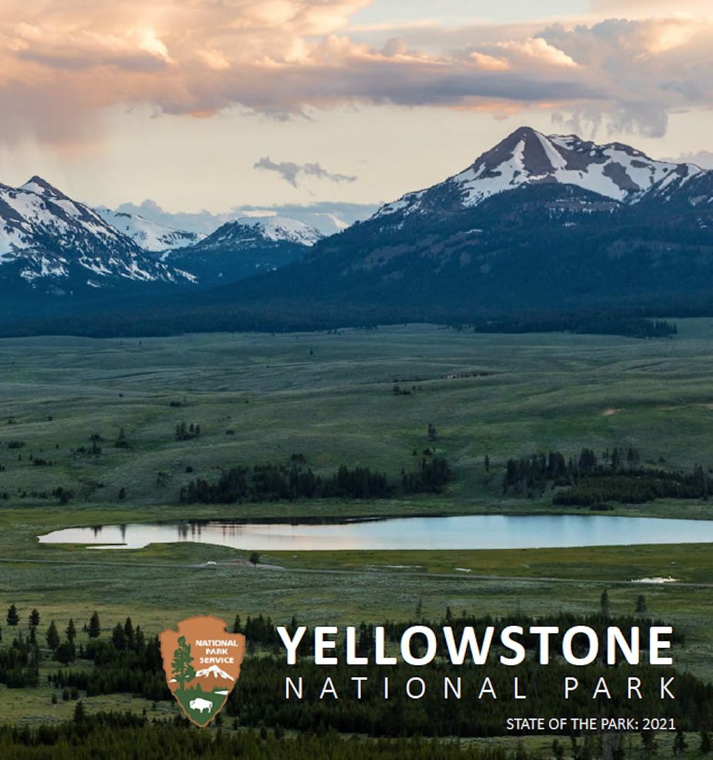 Yellowstone State of the State Report