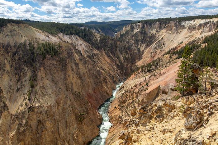 View up the Yellowstone River from Inspiration Point/NPS