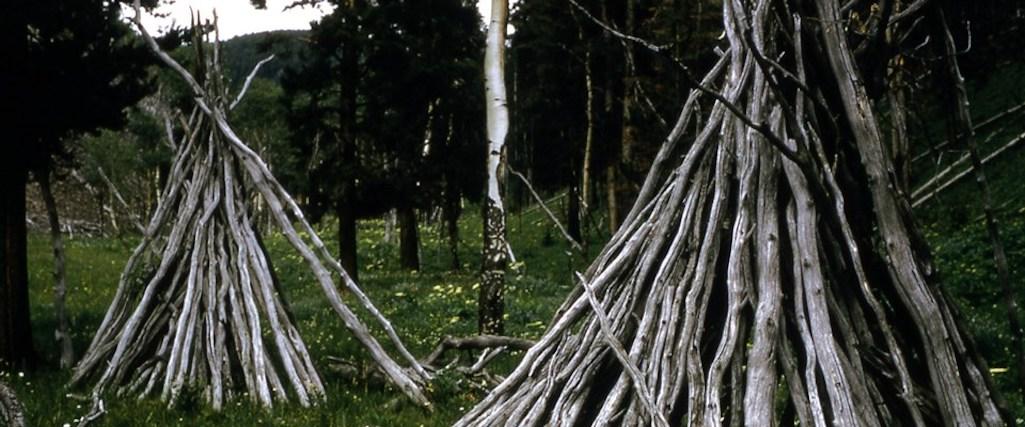 Wickiups provided temporary shelter for some Native Americans while they were in Yellowstone. No authentic, standing wickiups are known to remain in the park/NPS, Harlan Kredit