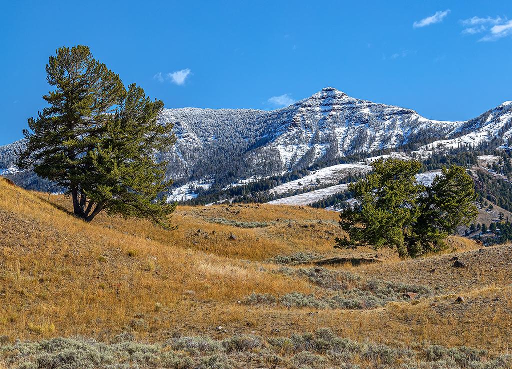 Lamar Valley landscape, Yellowstone National Park / Rebecca Latson