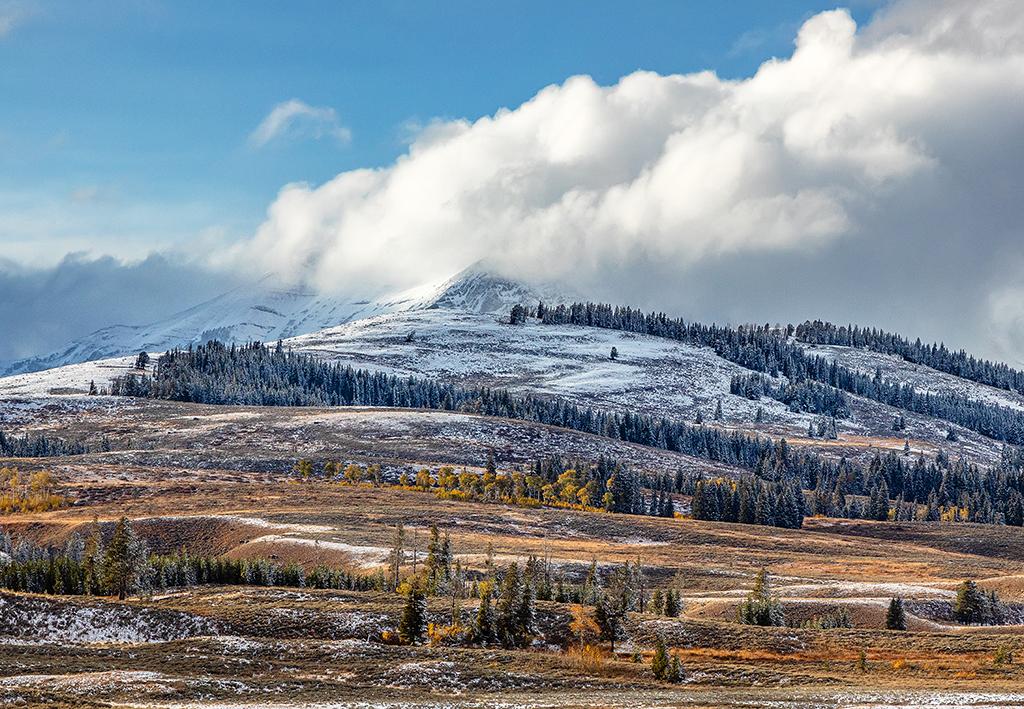 Late-afternoon scenery at Swan Lake Flats, Yellowstone National Park / Rebecca Latson