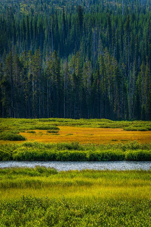 Yellowstone layers, Yellowstone National Park / Rebecca Latson