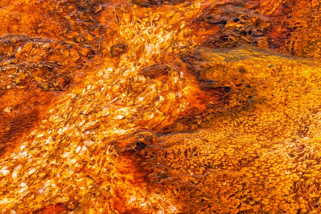 Bacterial abstract, Yellowstone National Park / Rebecca Latson
