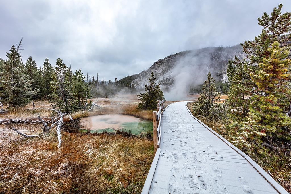 Scenery along the boardwalk at Black Sand Basin, Yellowstone National Park / Rebecca Latson