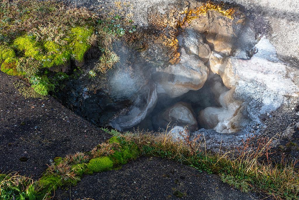 Life around a hot spring, Yellowstone National Park / Rebecca Latson