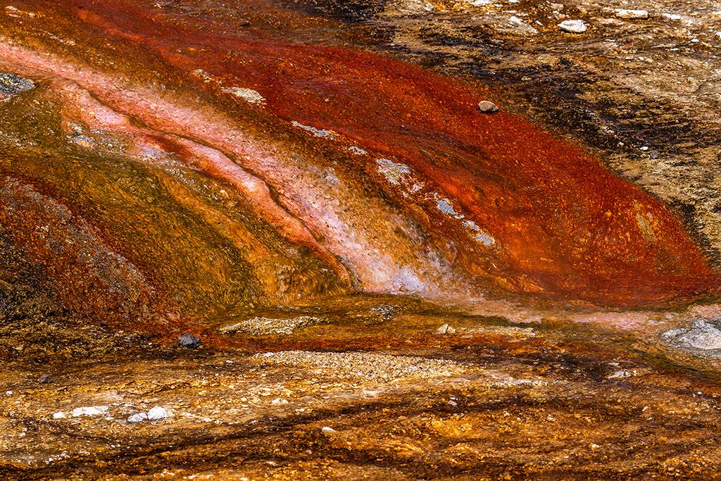 Bacterial colors, Yellowstone National Park / Rebecca Latson