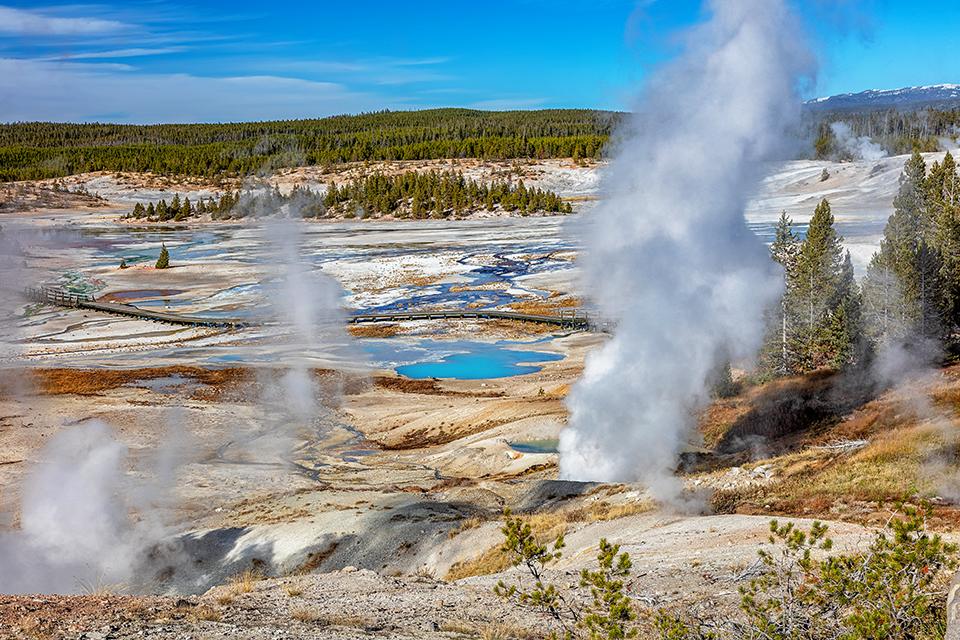 A view of Porcelain Basin, Yellowstone National Park / Rebecca Latson