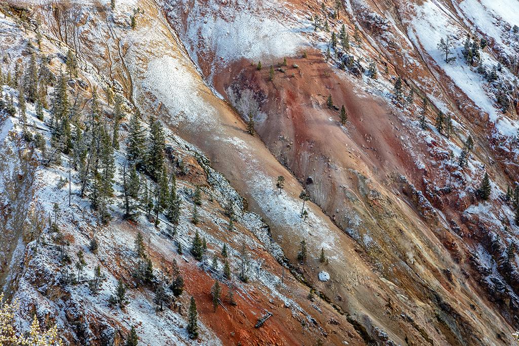 Canyon colors at Grand Canyon of the Yellowstone, Yellowstone National Park / Rebecca Latson