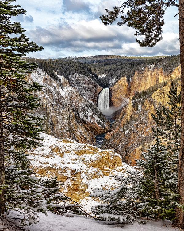 An Artist Point view of the lower falls of the Yellowstone River, Yellowstone National Park / Rebecca Latson