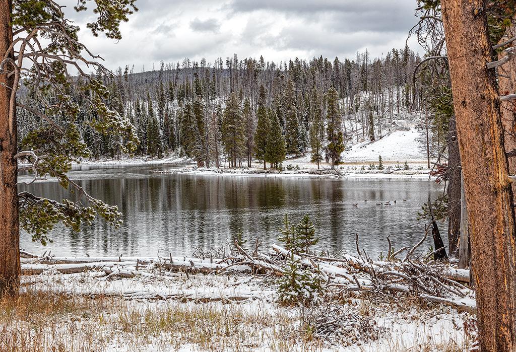 Yellowstone landscape on a wintery October day, Yellowstone National Park / Rebecca Latson