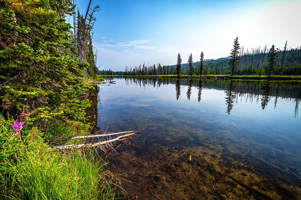 Reflections on a quiet lake, Yellowstone National Park / Rebecca Latson