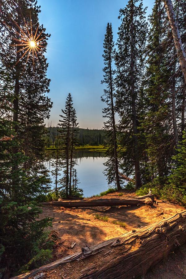A sunburst and a quiet little lake through the trees, Yellowstone National Park / Rebecca Latson
