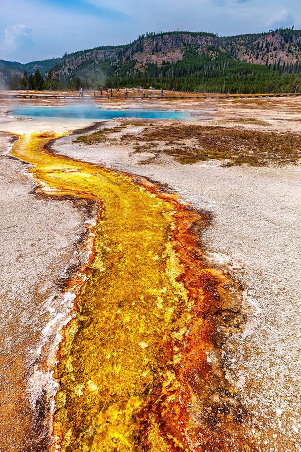 A leading line at Biscuit Basin, Yellowstone National Park / Rebecca Latson