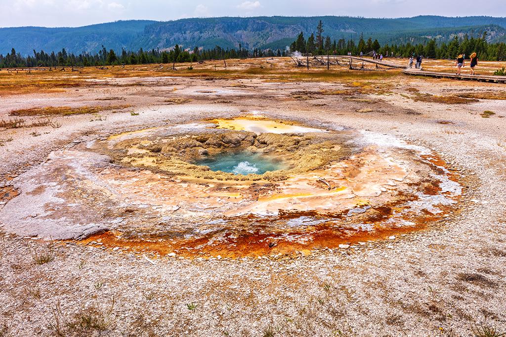 A little bubbler at Biscuit Basin, Yellowstone National Park / Rebecca Latson
