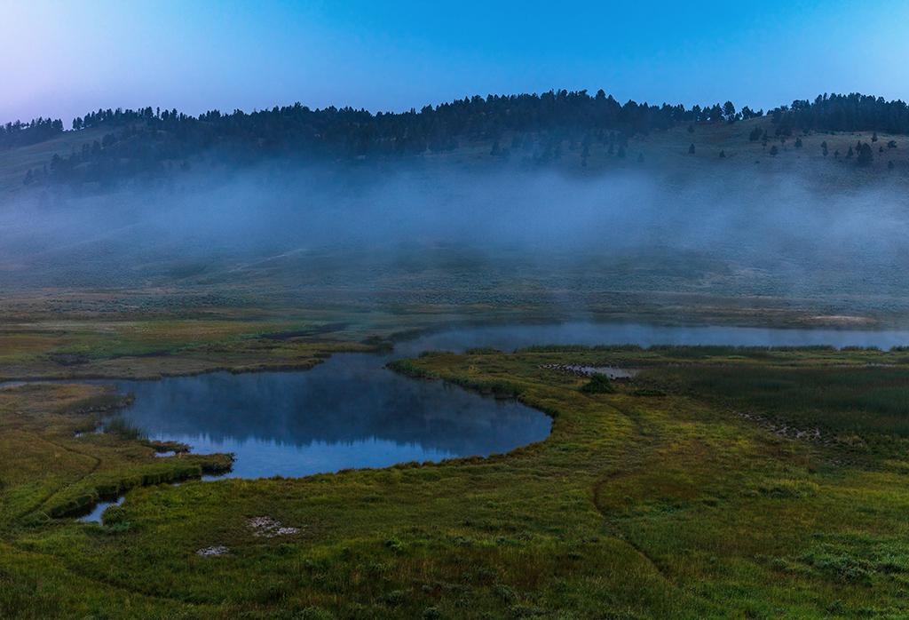 Dawn at Blacktail Pond, Yellowstone National Park / Rebecca Latson
