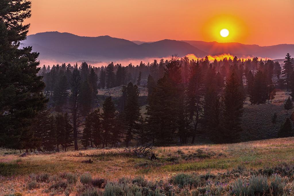 The colors of sunrise in Yellowstone National Park / Rebecca Latson
