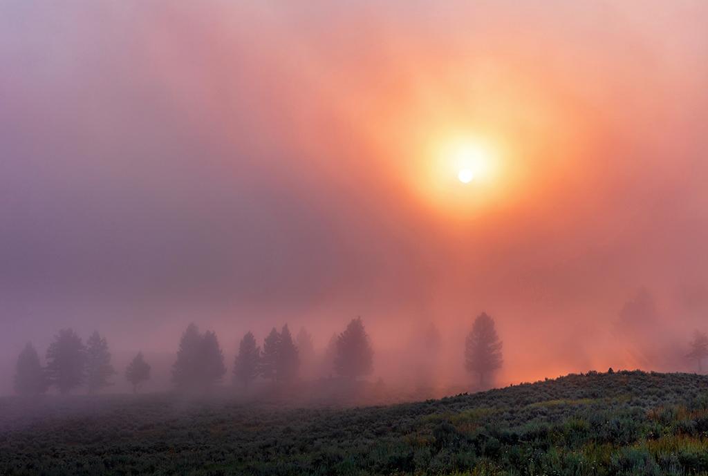 Early morning geothermal "fog," Yellowstone National Park / Rebecca Latson