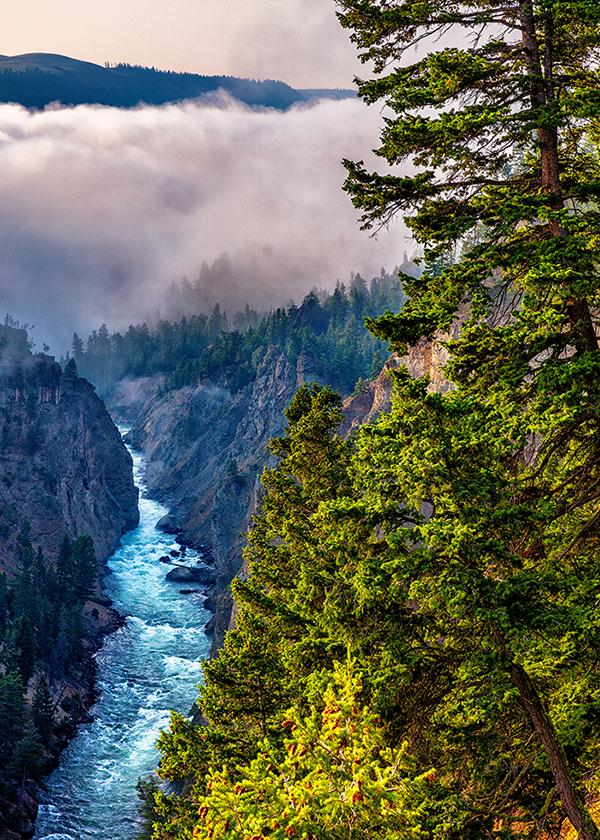 A morning view of the Yellowstone River, Yellowstone National Park / Rebecca Latson A morning view of the Yellowstone River, Yellowstone National Park / Rebecca Latson